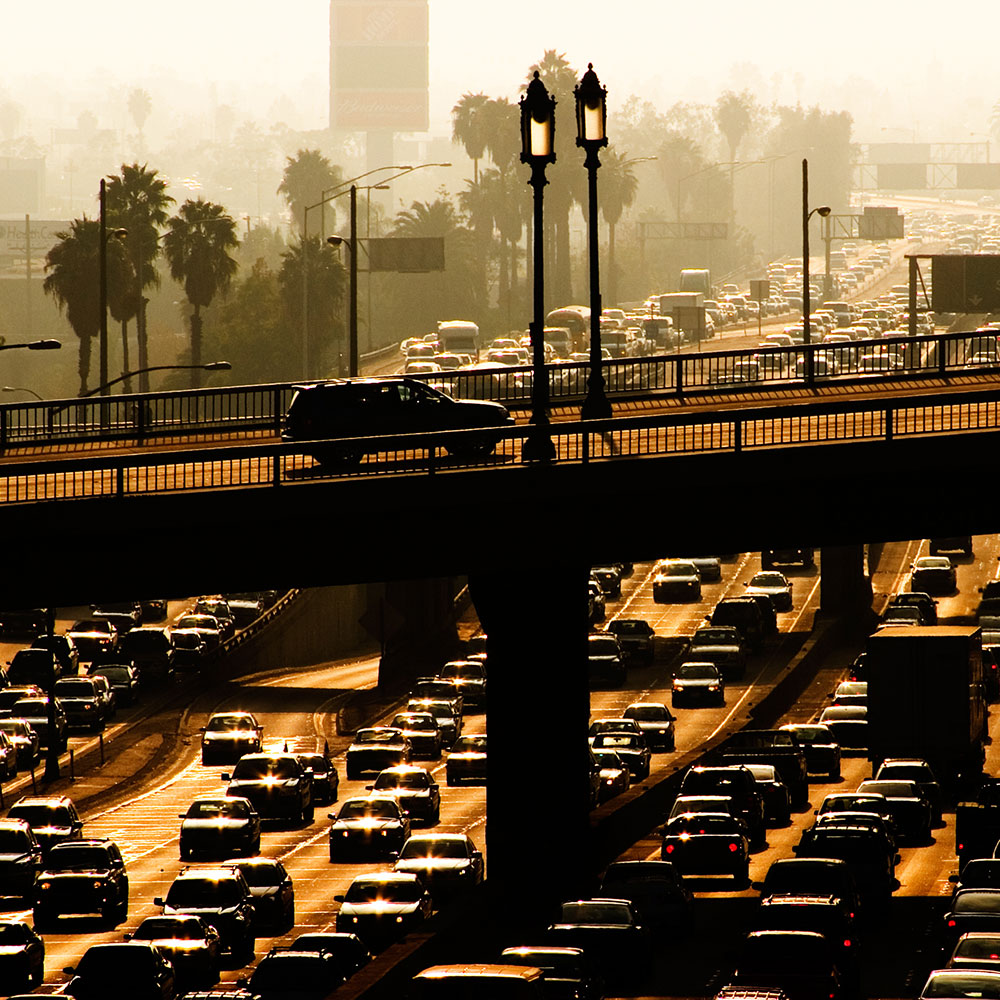 busy traffic on a LA highway with a bridge with traffic and palm trees in the background